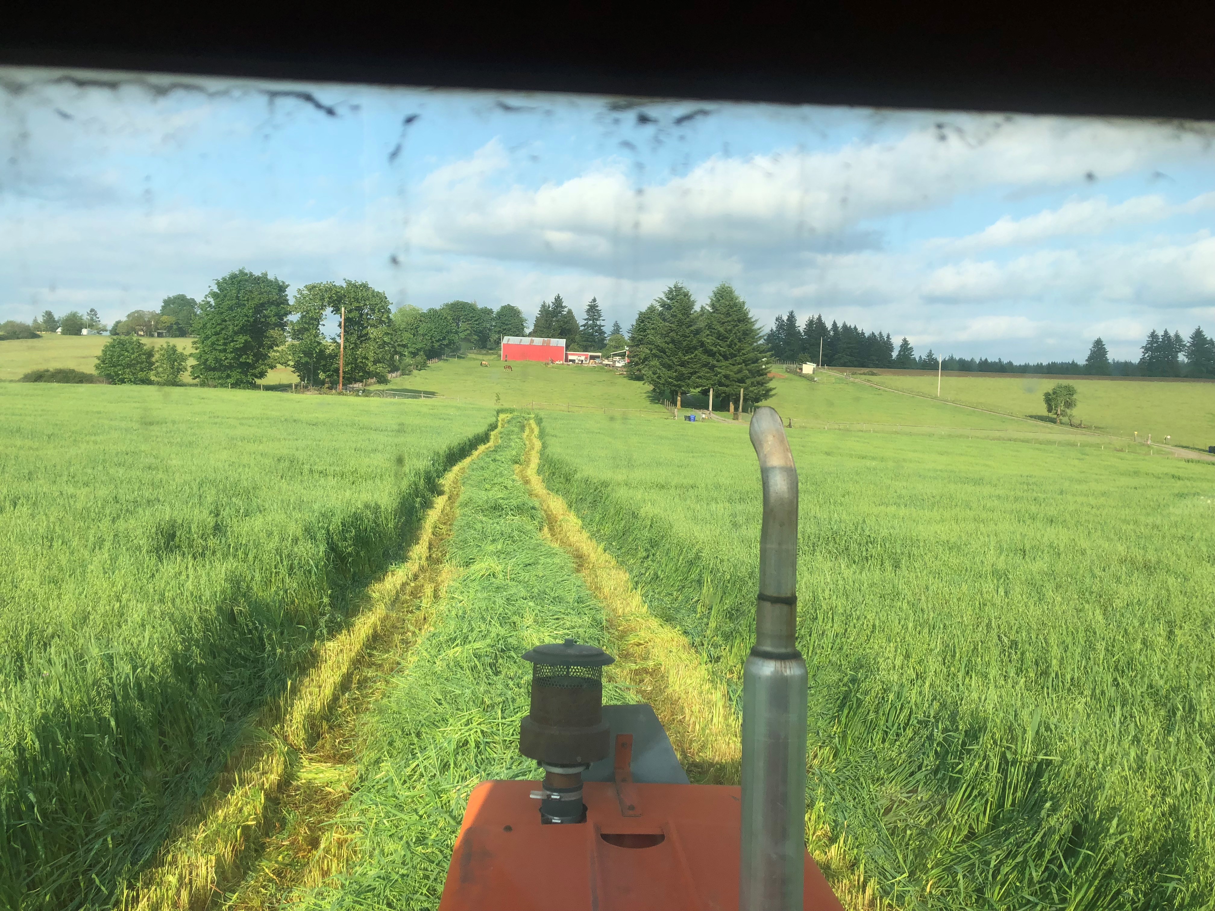 Swathing Hay Rows Custom Haying – Bluhm Ridge Farms, Inc